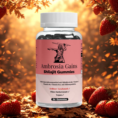 Shilajit Gummies Vitamin C,B6, B12